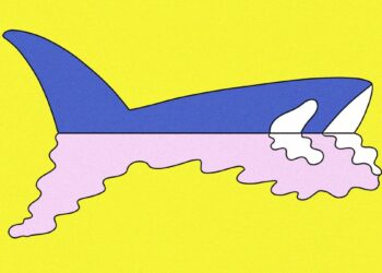 Um grupo de orcas párias está agora dominando um mar inteiro