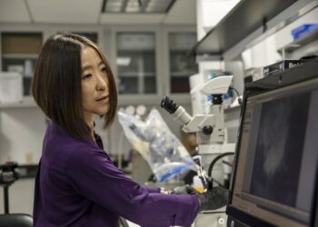 Biblioteca de seda de aranha pode conter segredos para novos materiais